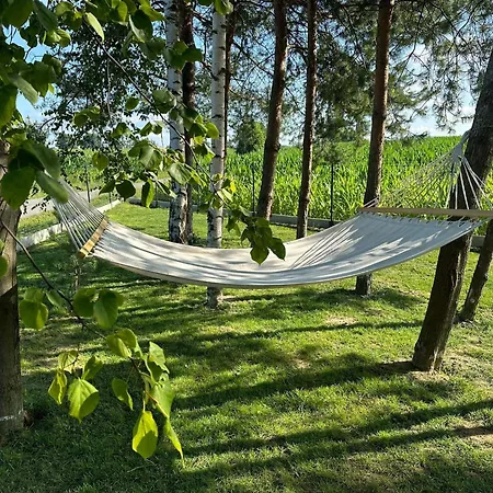 Dom Z Jacuzzi & Tarasem Caloroczny Do 10 Osob Dom Na Promowej - Las, Вилла